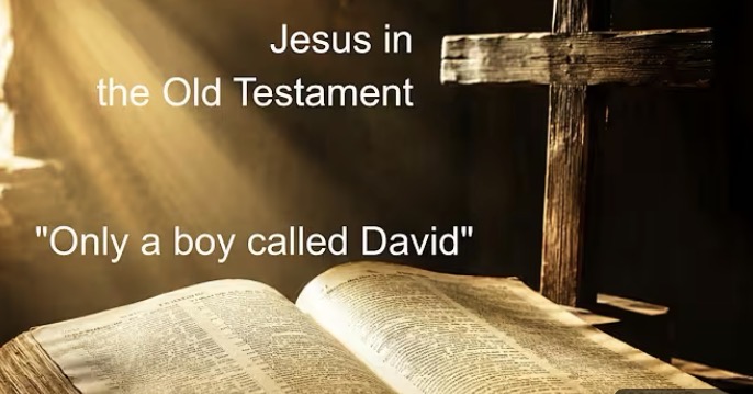 Only A Boy Called David